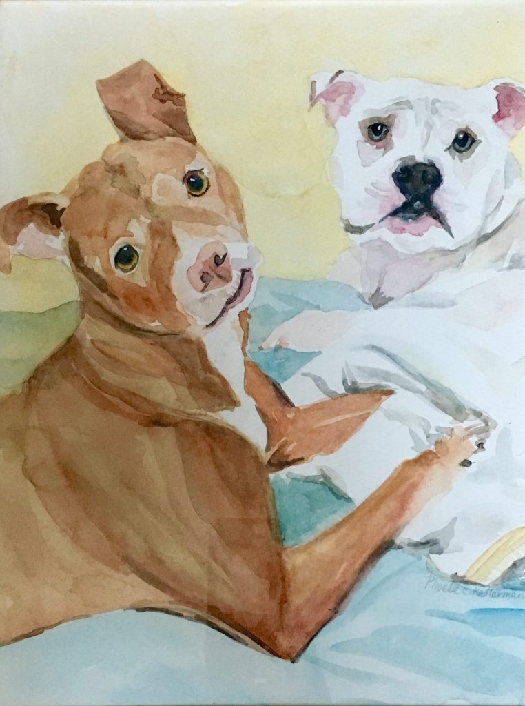 Custom watercolor pet portraits. Phoebe Kellerman