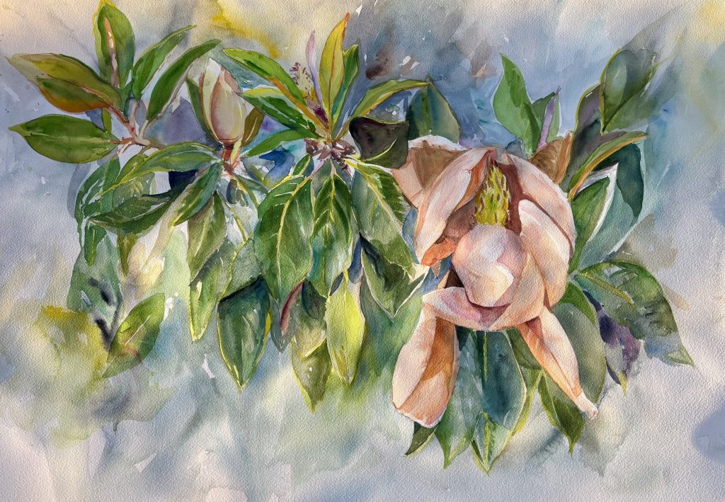 Magnolia original botanical watercolor painting